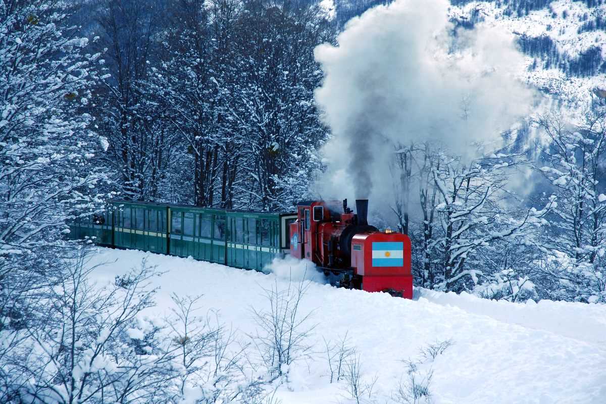 tren en invierno - terramar